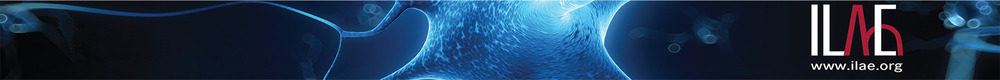 Newsletter bottom logo 3 Newsletter bottom logo 3